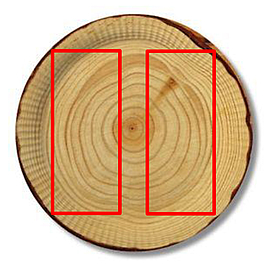 Kerngetrenntes Holz ohne Markröhre